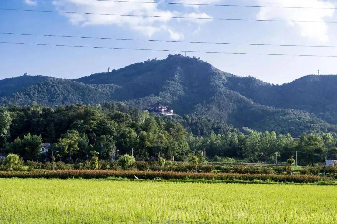 襄阳市保康县店垭镇格栏坪村