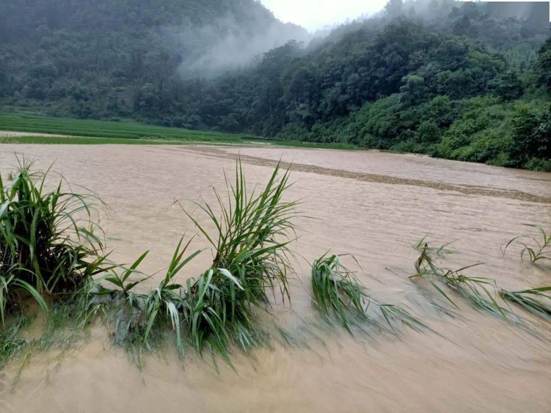 警戒警戒警戒广西多地出现洪水内涝已成泽国930新闻眼