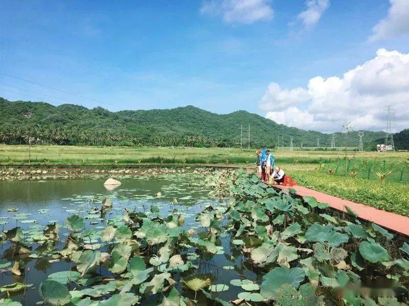 三亚市天涯区文门村海口市龙华区新坡镇仁里村海口市琼山区红旗镇苏寻