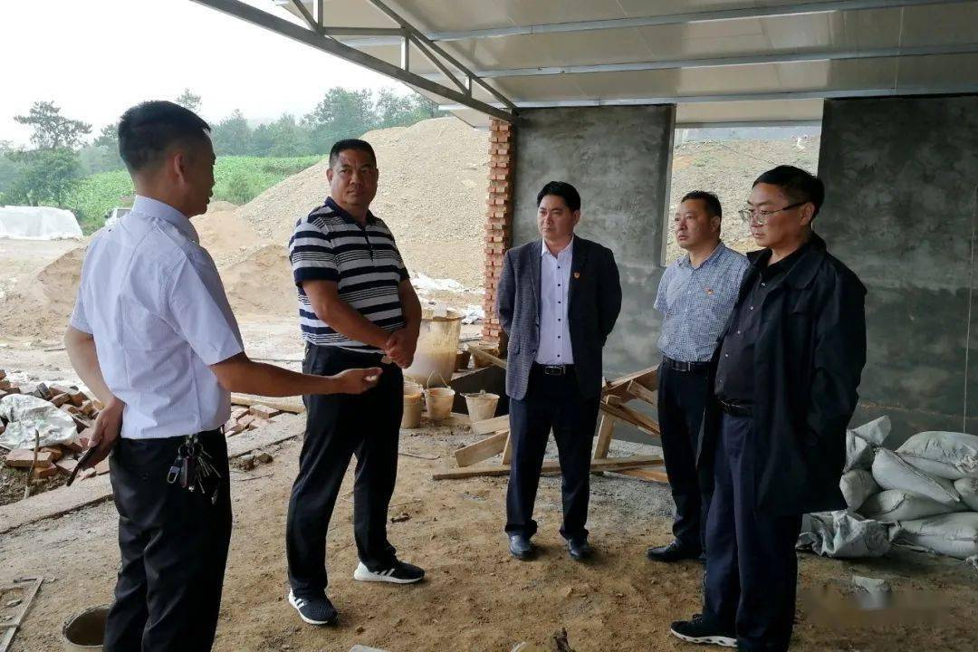 县领导调研太平镇村集体经济发展