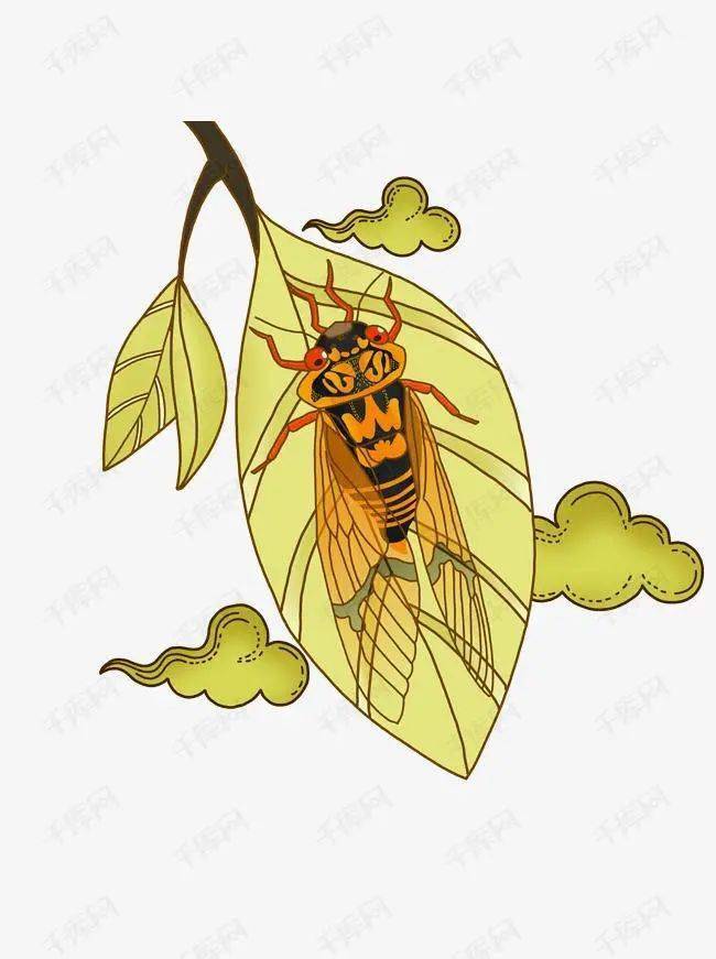 一起去捉爬叉吗?_金蝉