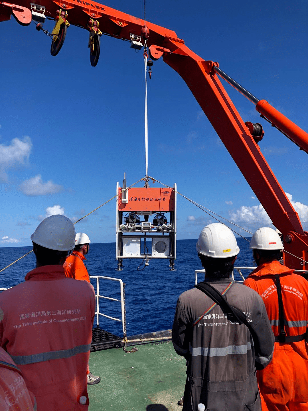 我国首次向阳红03船在南海神狐陆坡区通过原位诱捕的方式捕获到深海