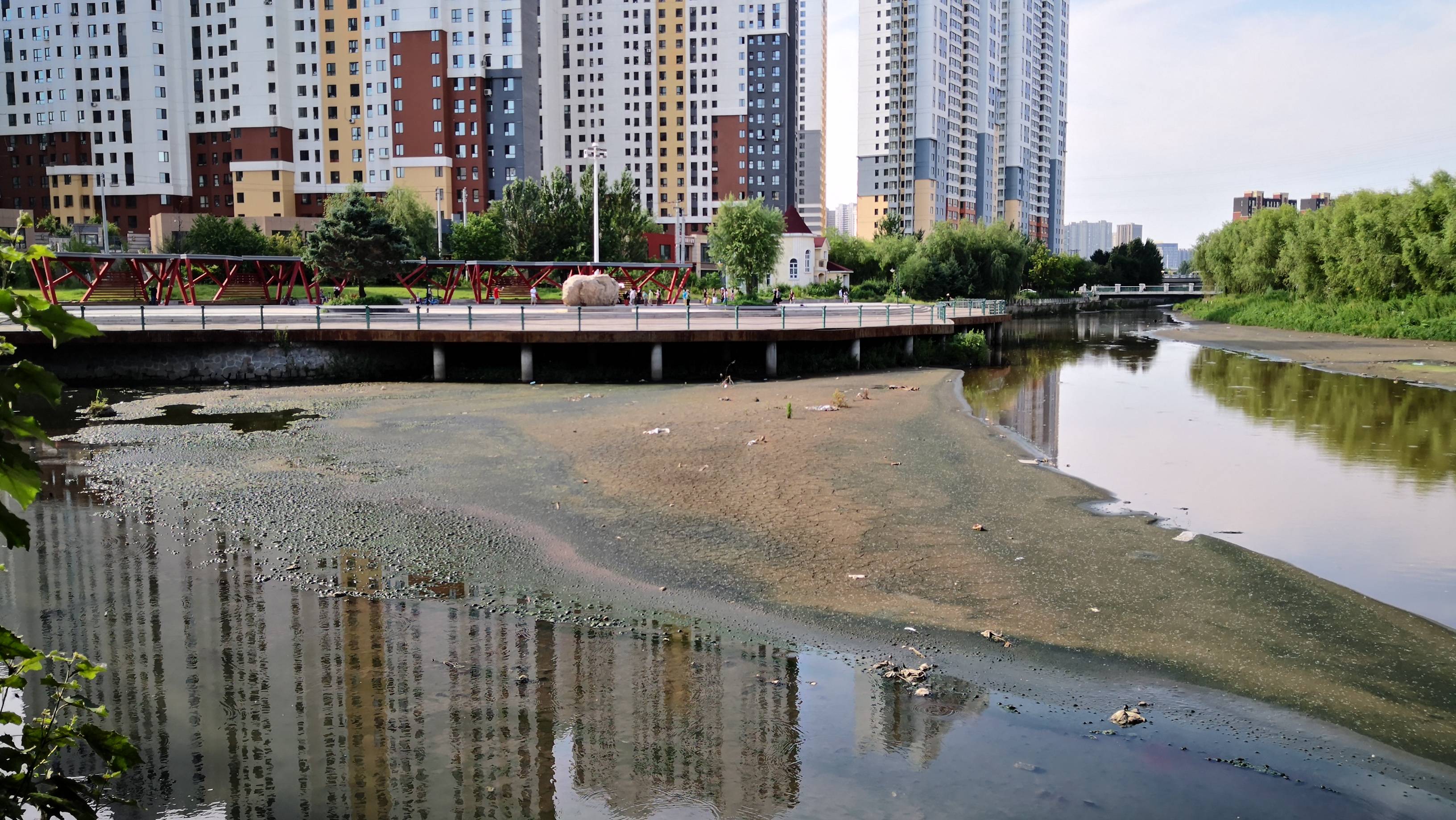 哈尔滨市道里区城乡路附近的何家沟河面上,出现大片的淤泥,散发出难闻
