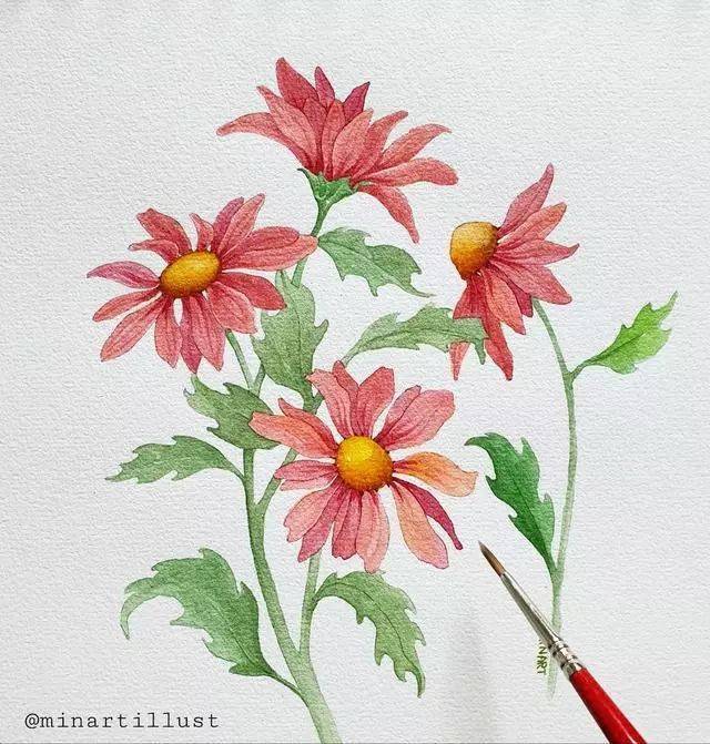 清新植物花卉水彩手绘色彩绚烂明媚这样的水彩心情真好