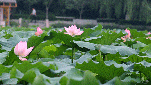 500_281gif 动态图 动图