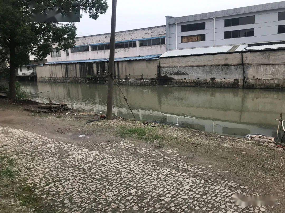 整治前此次清理活动主要对社区辖区内的卫生死角,建湖路道路两侧的