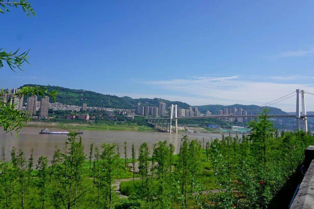 江南新区升级打造一个湿地公园!今年秋季亮相!_万州