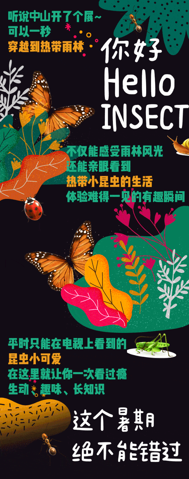 28登陆大信·新都汇新悦店在这里,可以看到娇小七星瓢虫,剪刀手绿螳螂