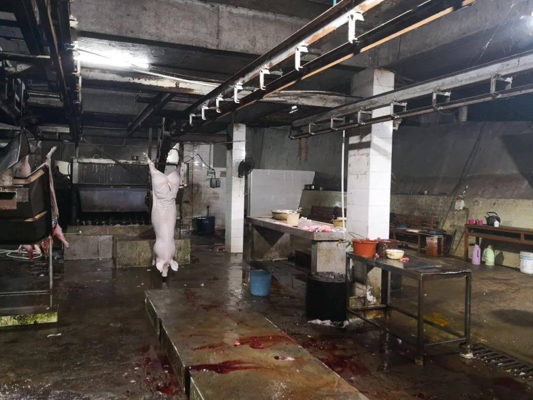 兴宁警方凌晨出击,黄槐,石马等地五人被抓,怎么回事?