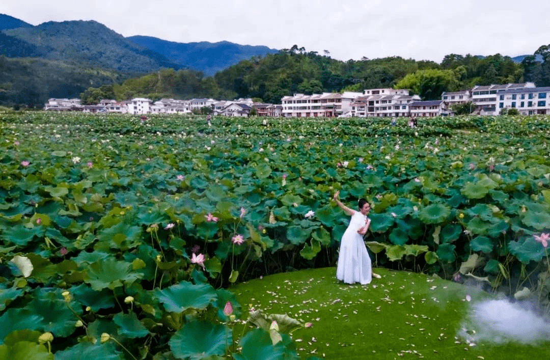 2020广昌最美莲花节你看过了吗