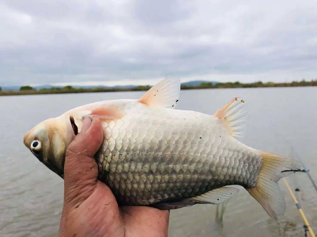 野钓镜泊湖,风雨皆不误,鱼虽不多,胜在景美