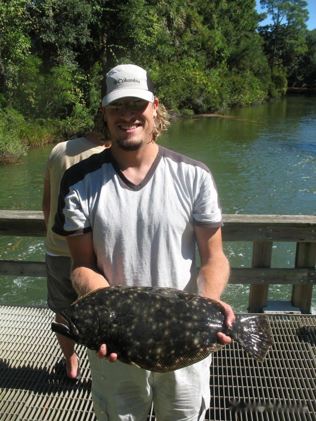 物种图册-大西洋牙鲆