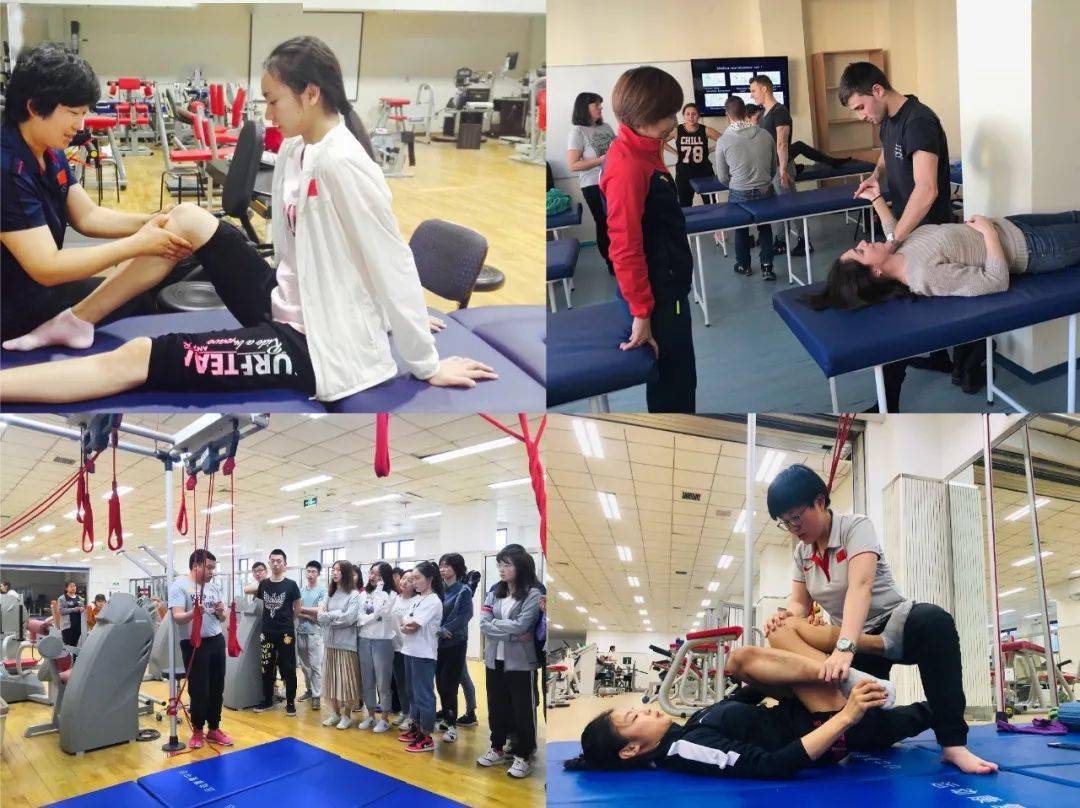 体医融合 国际视野丨运动康复专业介绍_体育