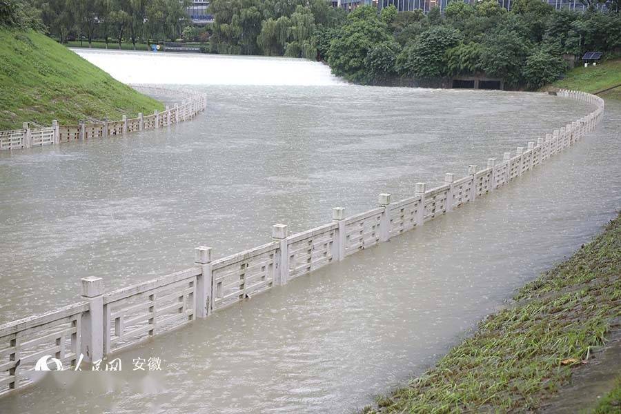 合肥十五里河上游沿岸部分步道被上涨的河水淹没.张俊摄