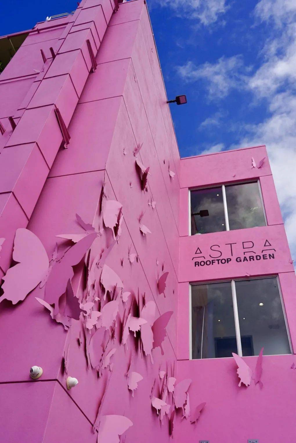 "墙裂"推荐!这些打卡地,一般网红模仿不来