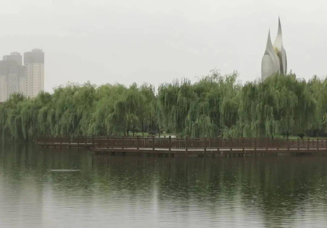 实拍谷城南河北河湿地公园水情河道堰塘水位增高