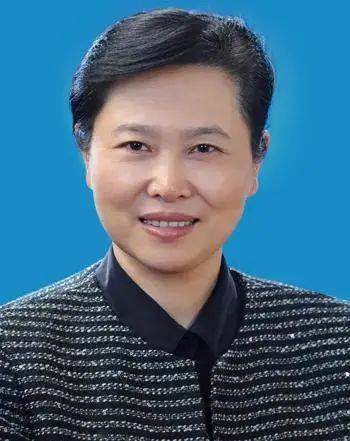 曾在濮阳任职的她履新出任湖北省委政法委书记