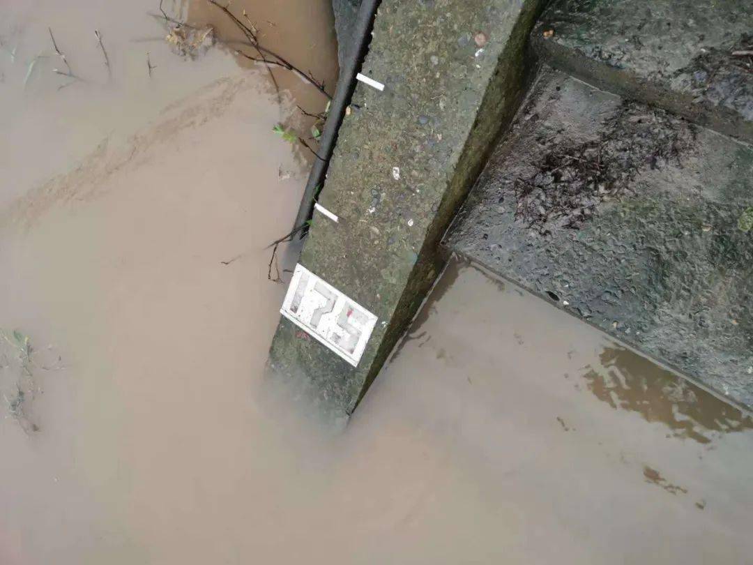 鱼嘴,龙兴,统景涨水|主城部分地区被淹没,入汛以来最