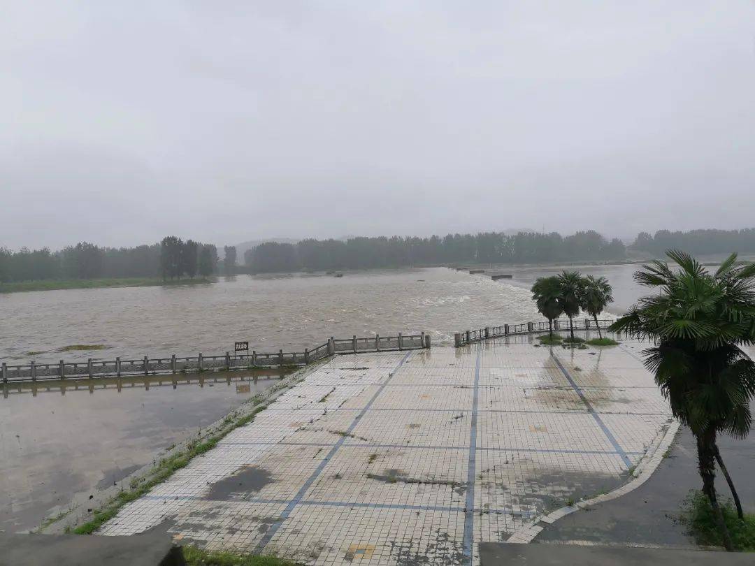 水位增高很多水流湍急體育場橡膠壩路面已有積水谷城河道水域情況北河