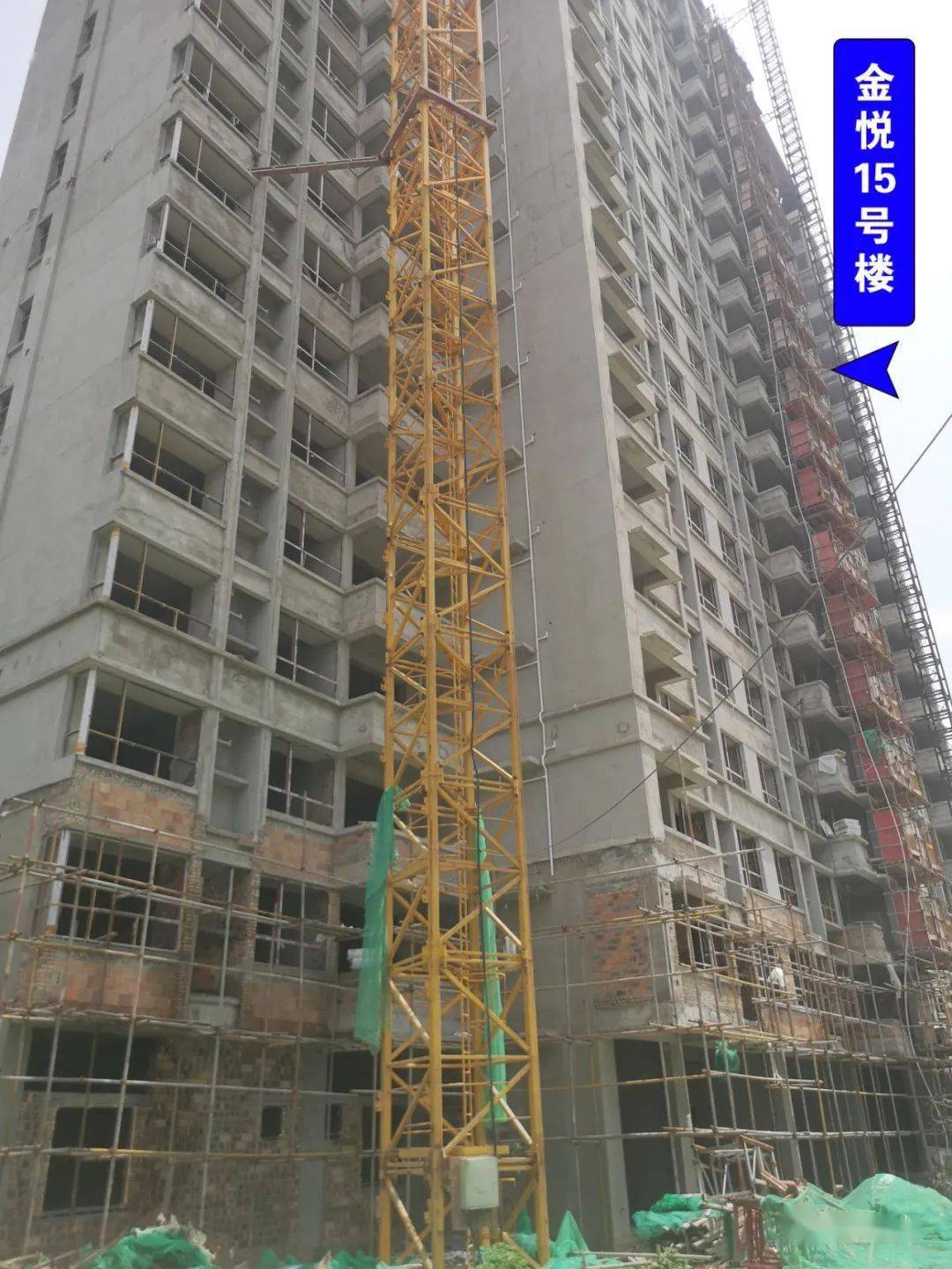 皖州金悦不负信任新家即将完工