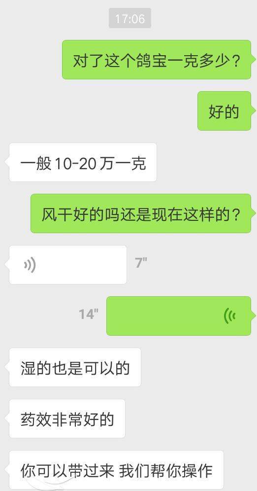 杀鸽子发现鸽宝一克就值20万