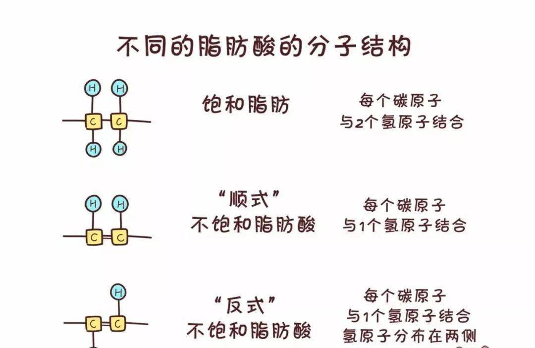 藏在蛋糕麵包中的定時炸彈反式脂肪酸真的這麼可怕