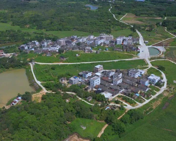 葵潭镇这个村,用番石榴托起致富梦!