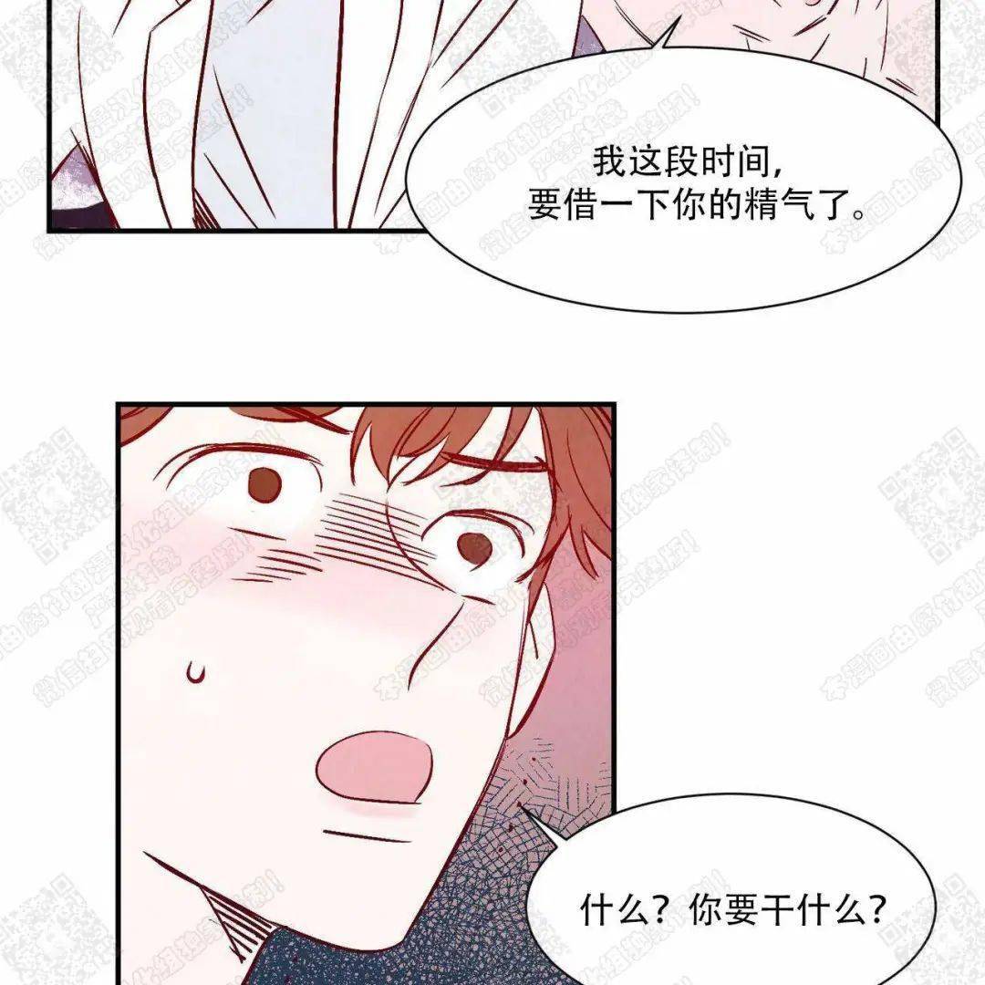 人兽的恋情之旅,甜蜜#东海太子攻x欢喜兽医受