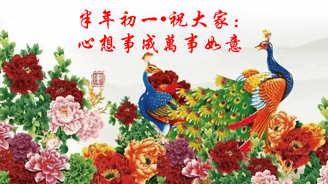 今日半年初一61祝大家心想事成万事如意67