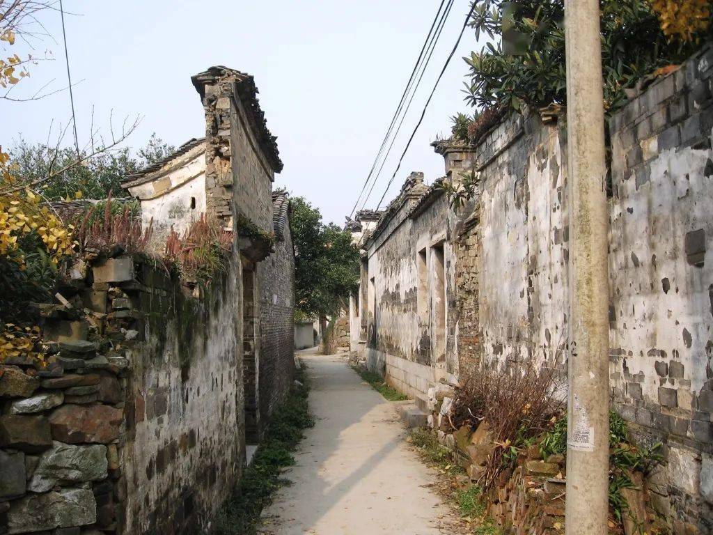 心往古村,探幽植里