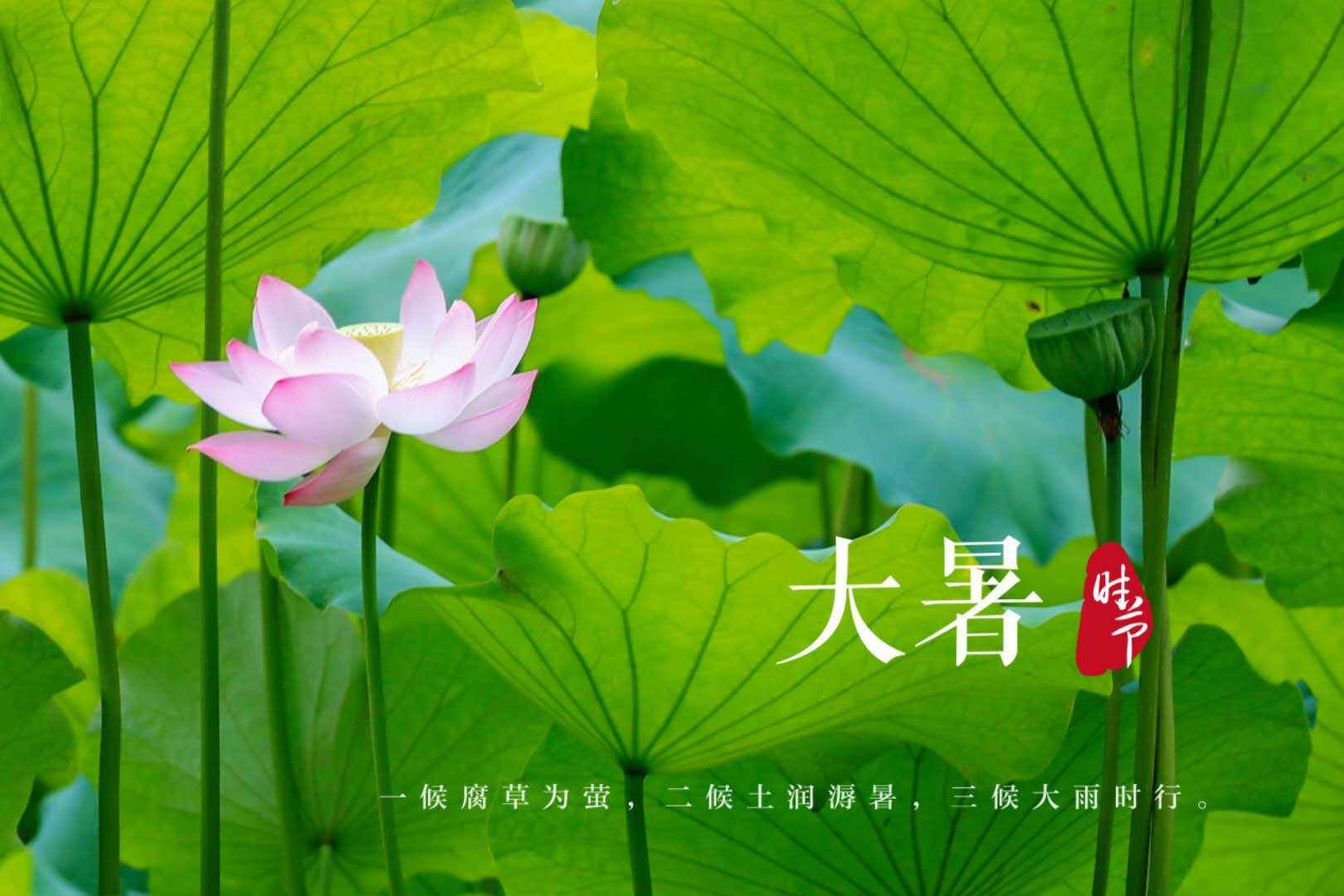 今日大暑,准备好迎接入伏后首个高温日吧!