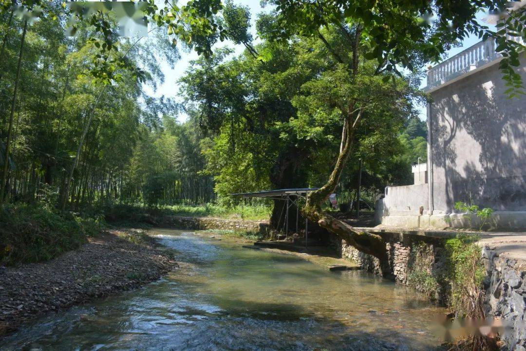 花桥边风景线蛟潭镇人居环境整治氛围浓效果好