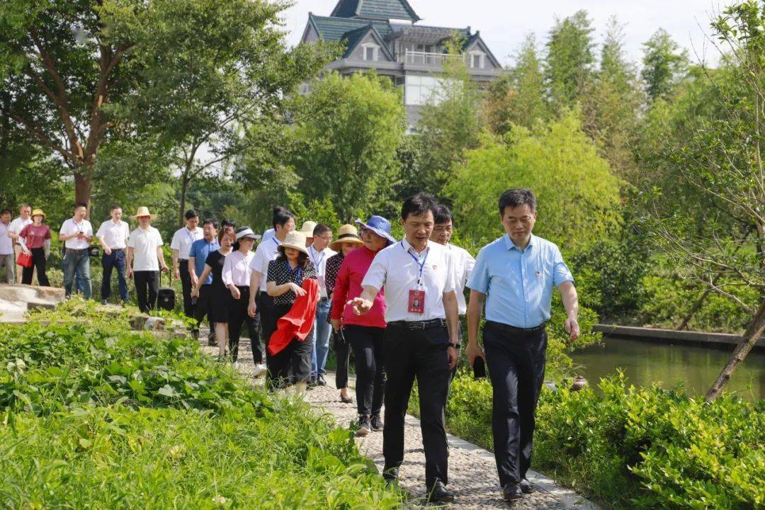市人大常委会来当湖视察农村全域秀美人居环境建设管理情况