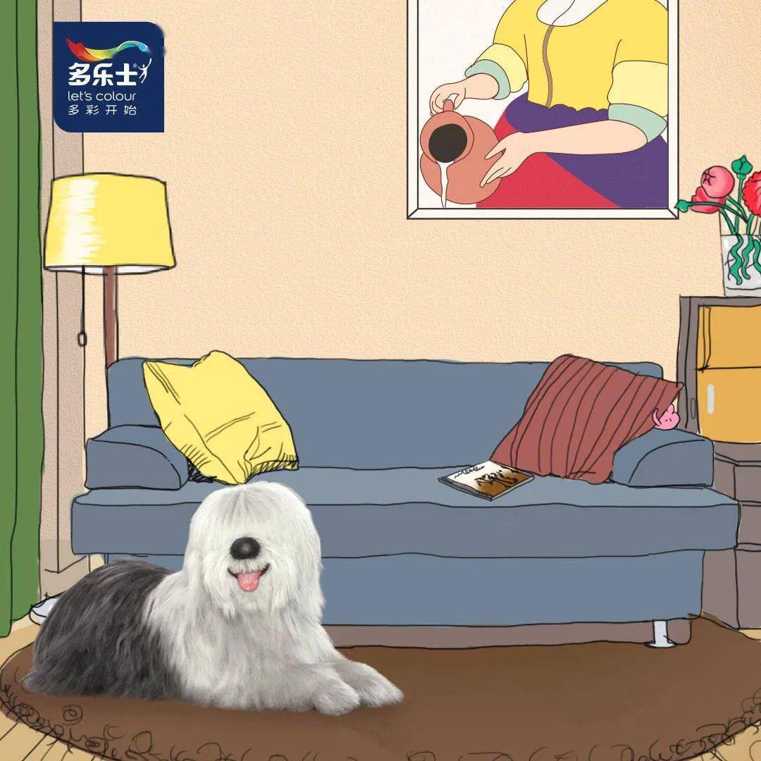 九亭【多乐士】翻新服务介绍与预约方式,快来预约,一站式轻松焕新家!