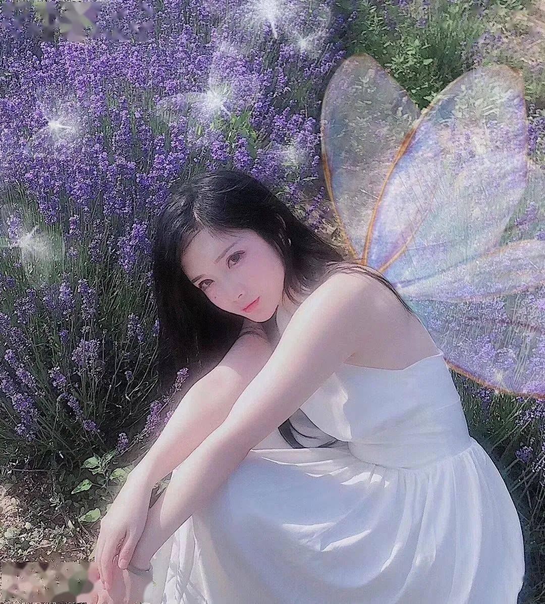 aimer | 想用萌力征服世界的修丢丢