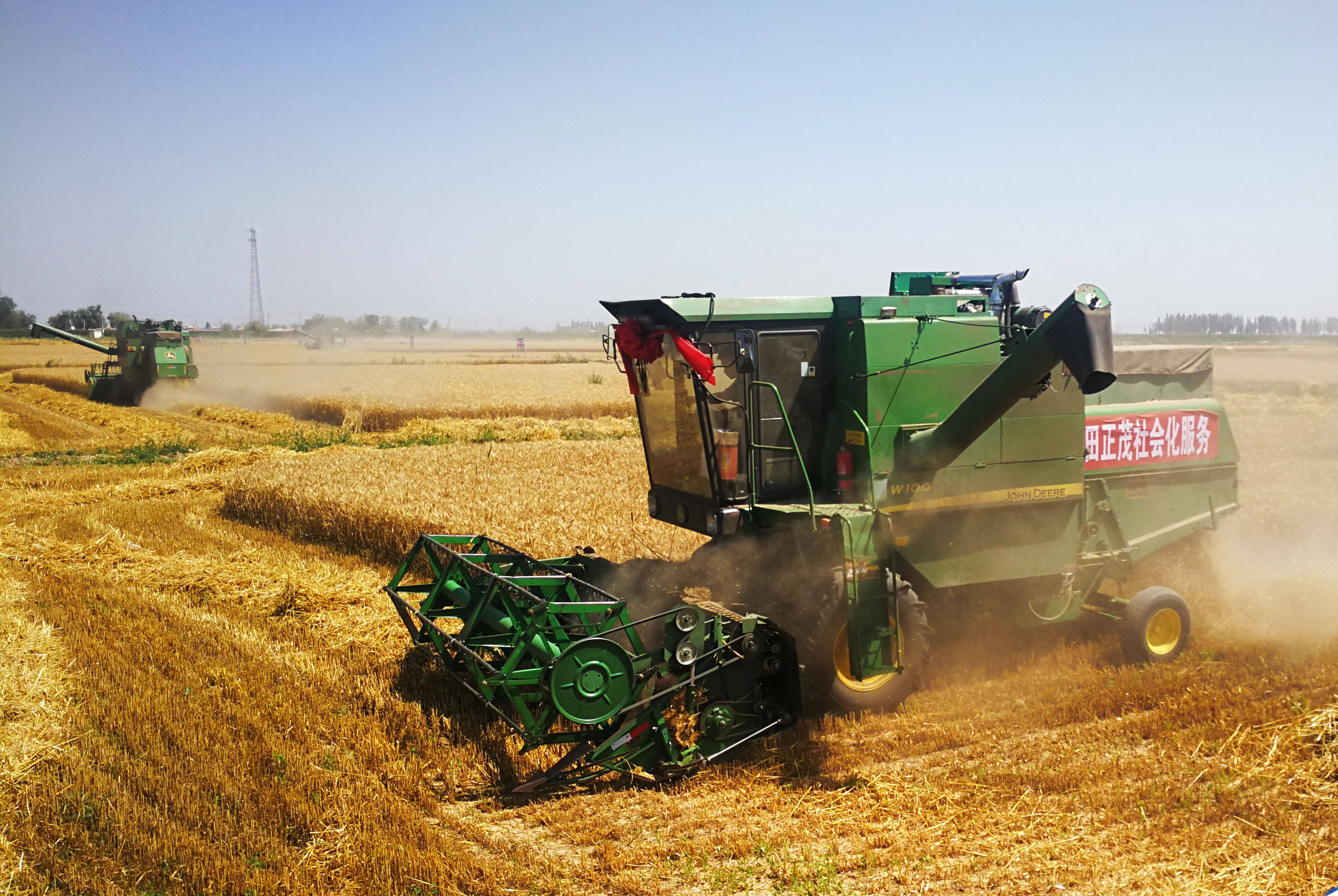 7月21日,收割机在内蒙古巴彦淖尔市临河区干召庙镇棋盘村小麦种植基地
