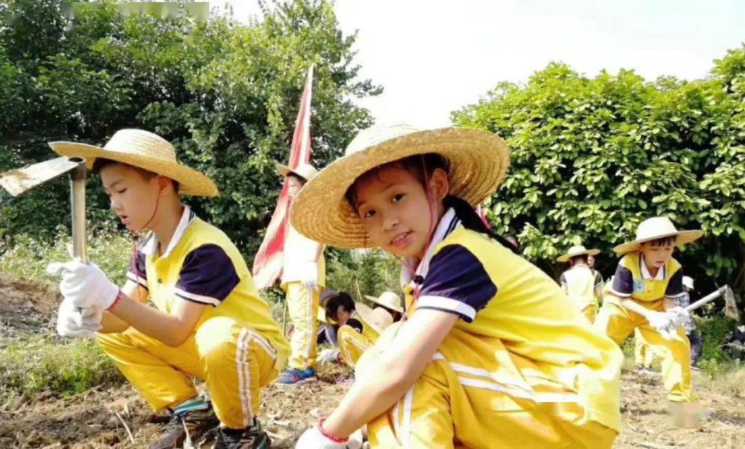 【研学游】走进世界茉莉花都 探秘榃僧古村落_活动