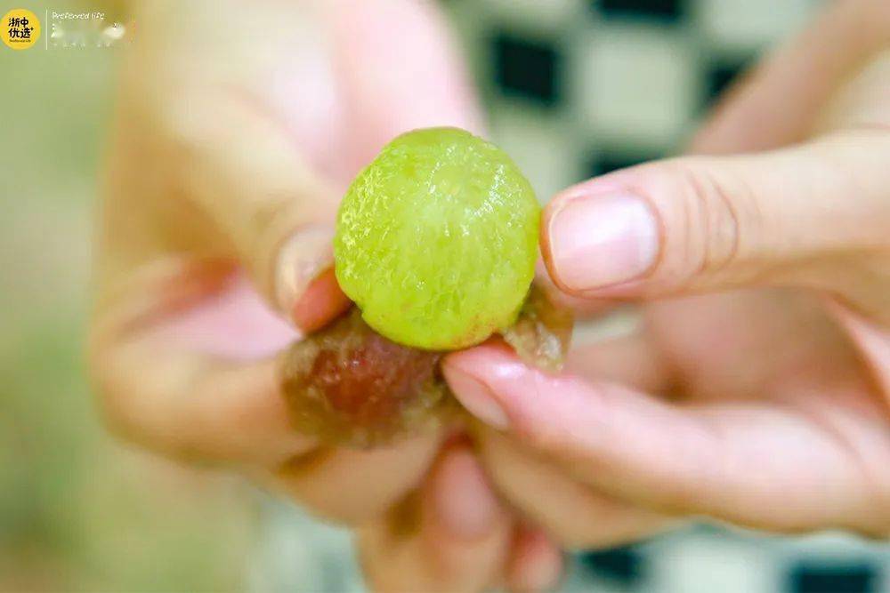 瞧着诱人,忍不住撕开一个葡萄皮后,厚厚的果肉恨不得蹦出来,水流了
