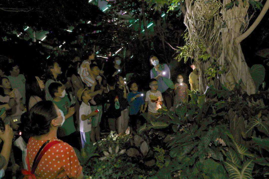 佘山夜游专线首发:辰山植物园温室夜游 泰晤士小镇欢乐亲子一日游