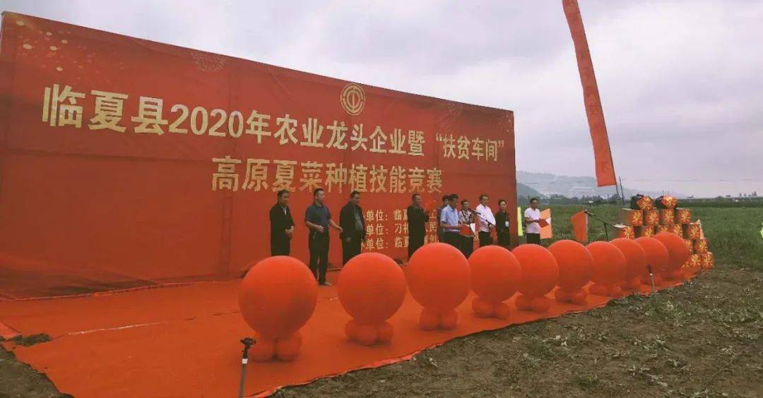 临夏县举办2020年农业龙头企业暨扶贫车间高原夏菜种植技能竞赛