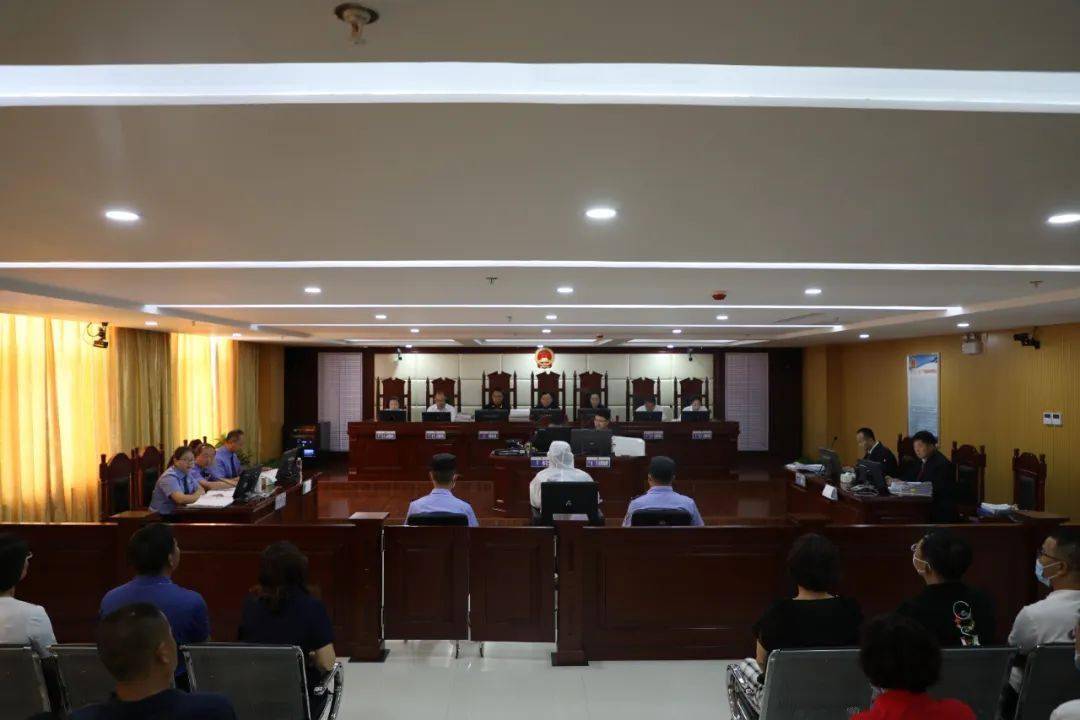 内蒙古一村支书非法侵占集体财产4900余万