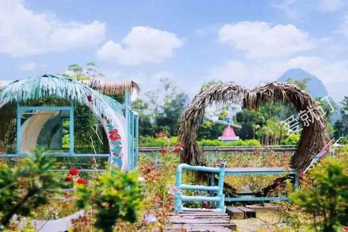 打卡"网红圣地"南国御花园,体验火龙果采摘,亲子玩水,农耕文化,品尝"1