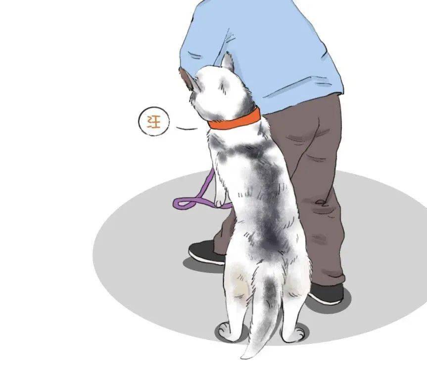 男子觉得自己既要工作又要照顾狗实在是有点儿吃力,便决定将狗寄养到