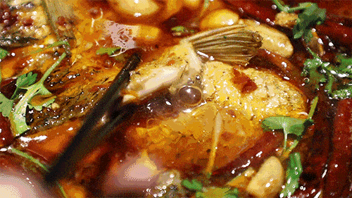 69抢原价202元的烤鱼套餐活鱼现烤分量十足麻辣鲜香9种口味满足你