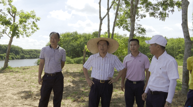 梁誉腾到新兴镇部分村委会调研指导软弱涣散基层组织排查等工作