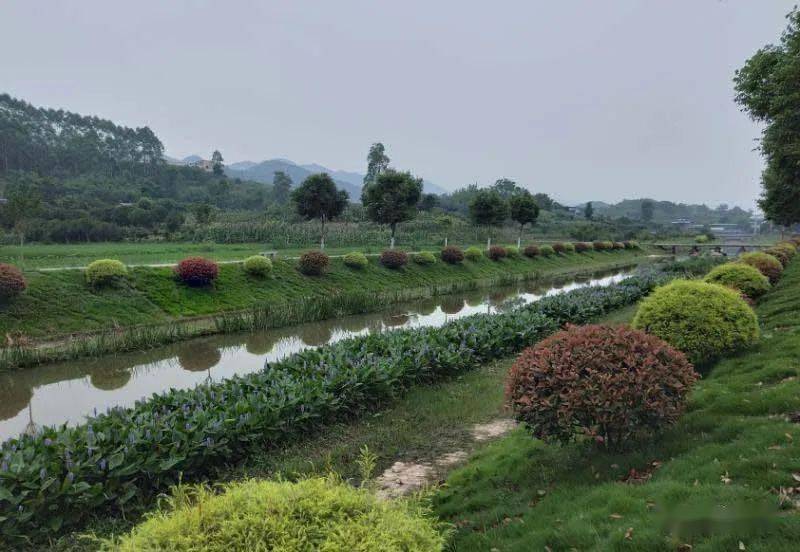 【走向我们的小康生活】八塘镇打造618亩生态湿地 建设美丽宜居新乡村