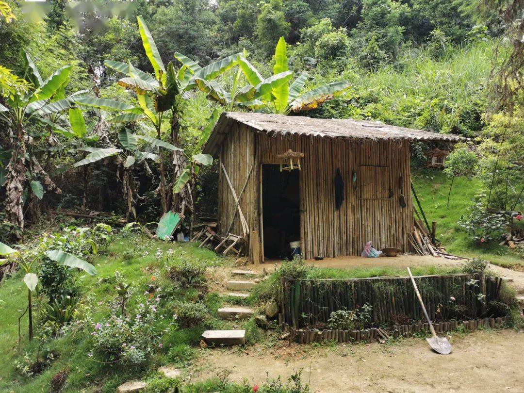 阿木爷爷用来放工具的小竹屋.新京报记者王双兴摄