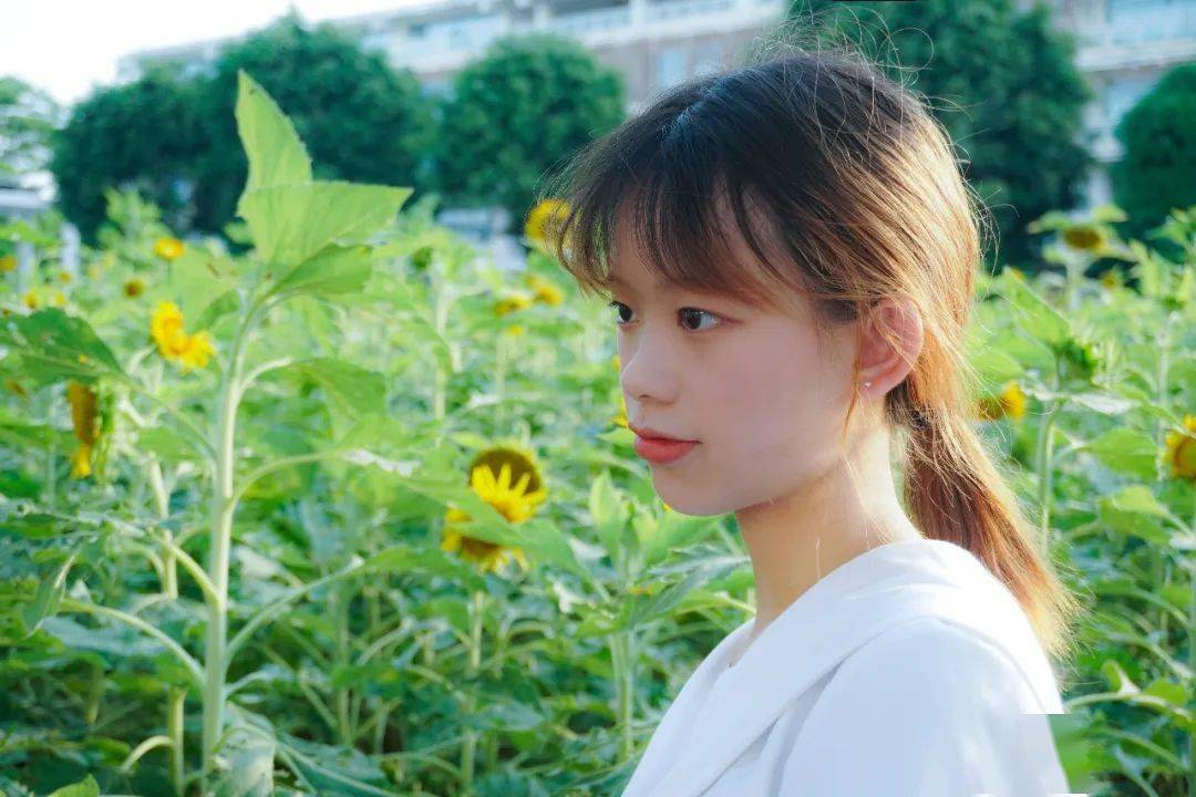 03 陈子玉《南职晚霞》↑02 吴远志《金葵湖》↑01