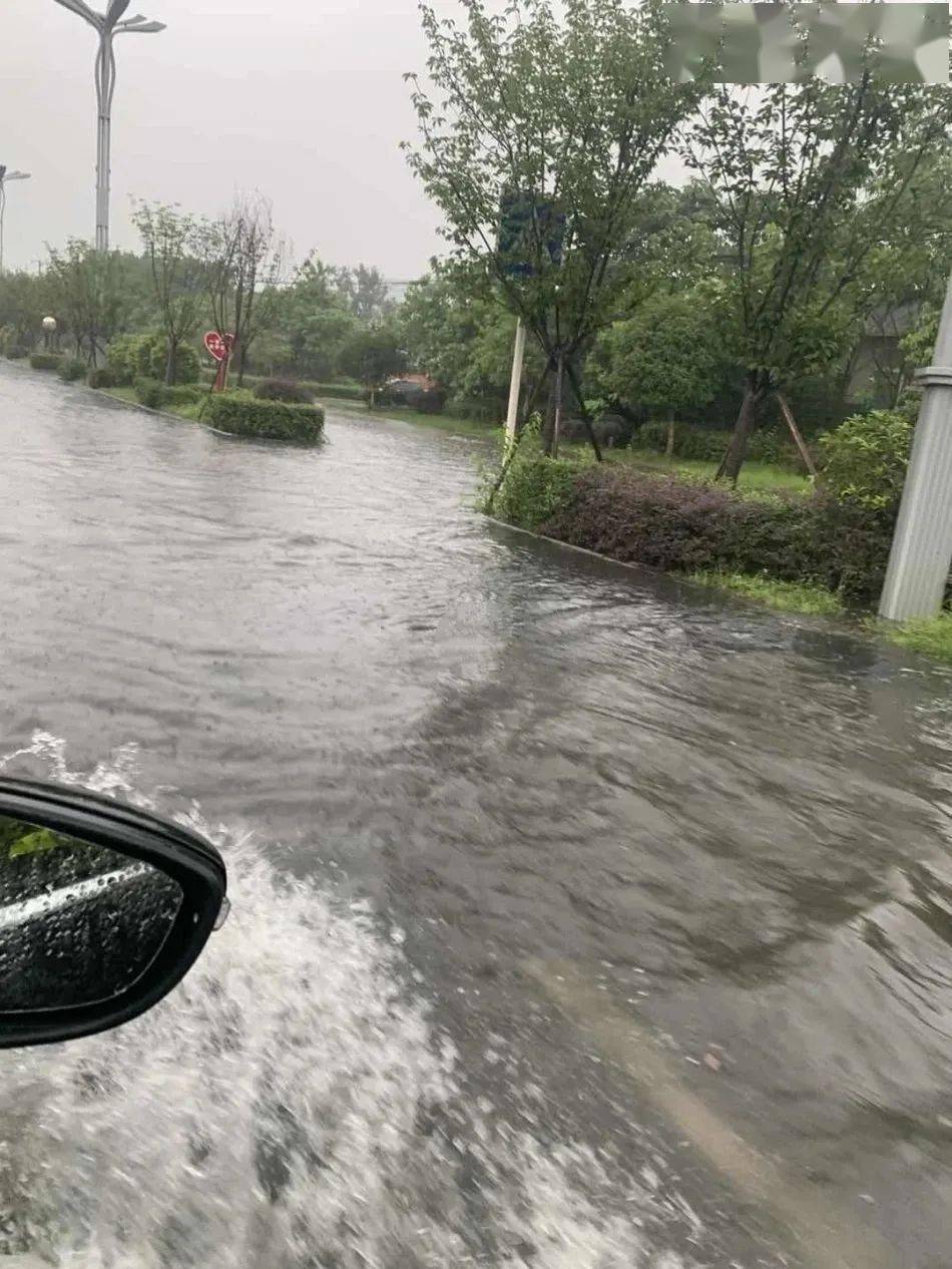 未来三天暴雨预警!绵阳多个高速关闭,列车晚点,航班备降.
