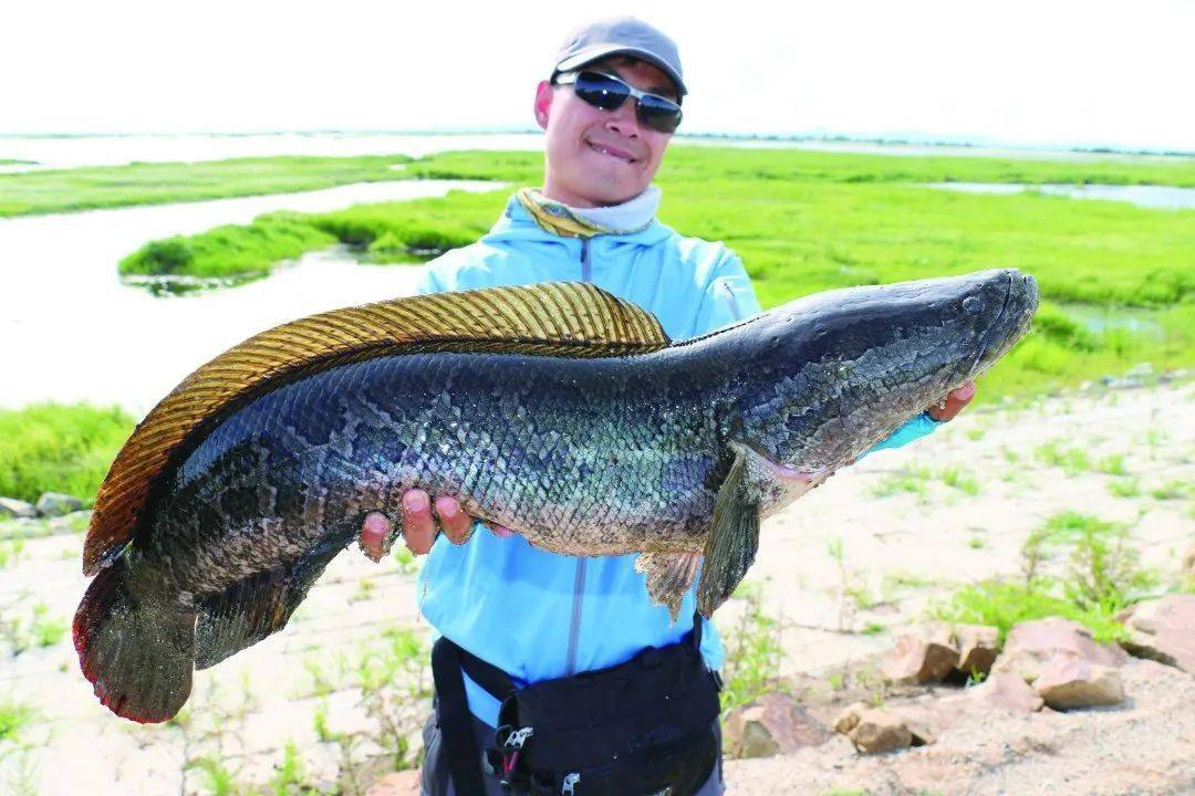 夏日雷强看我总结的这一篇就完全够用了四